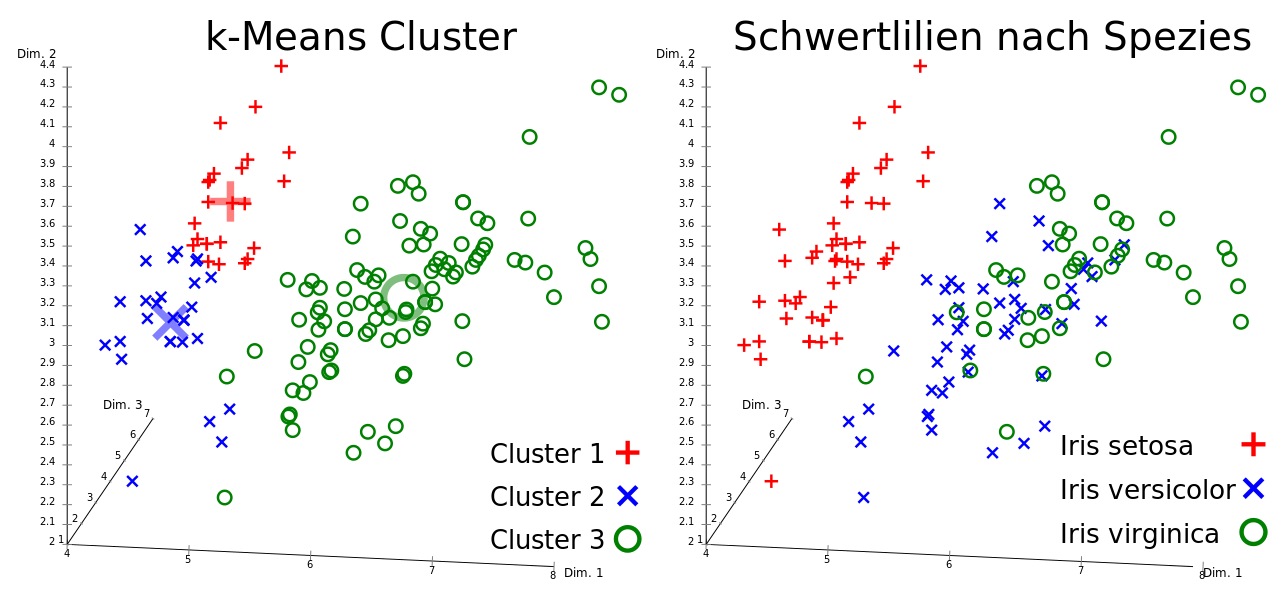 k-Means Ergebnis und reale Schwertlilien-Spezies im Iris Flower Datensatz, visualisiert mit ELKI. Die Clusterzentren sind durch größere, blassere Symbole gekennzeichnet. Quelle: Wikipedia