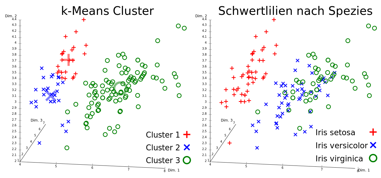 k-Means Ergebnis k-Means Ergebnis und reale Schwertlilien-Spezies im Iris Flower Datensatz, visualisiert mit ELKI. Die Clusterzentren sind durch größere, blassere Symbole gekennzeichnet. Quelle: Wikipedia